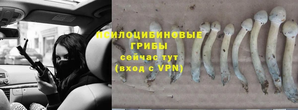 стаф Наволоки
