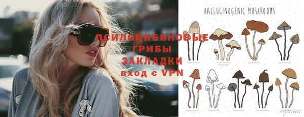твердый Михайловка