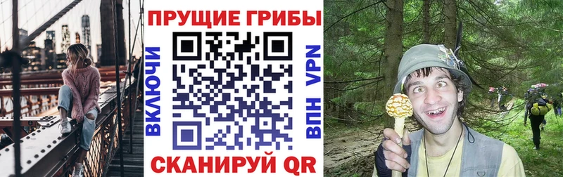 OMG вход  Сарапул  Галлюциногенные грибы ЛСД 