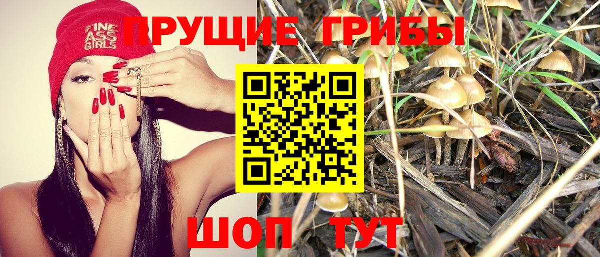 Сарапул  Галлюциногенные грибы мицелий  Псилоцибиновые грибы Cubensis  как найти   Вход с VPN 