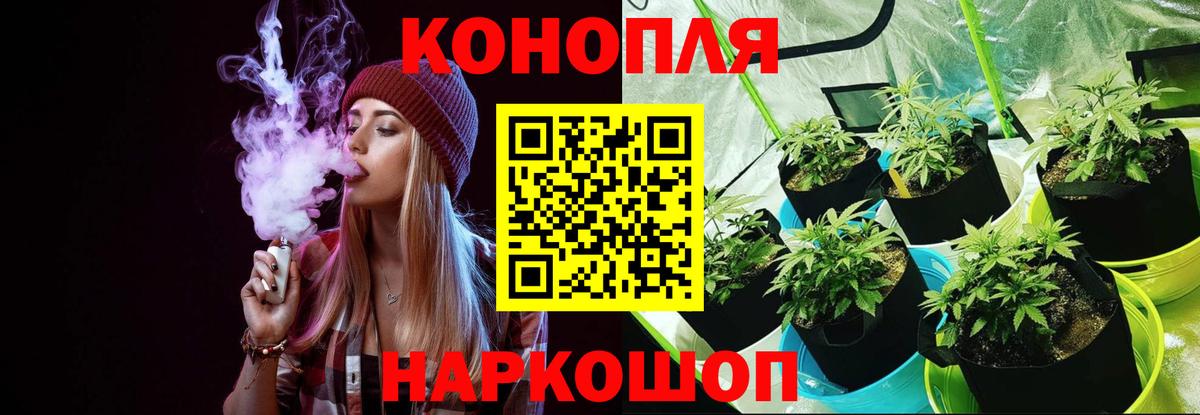 Бошки Шишки сатива Сарапул